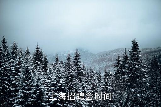 上海線下招聘會，上海招聘會有那些詳細(xì)點的
