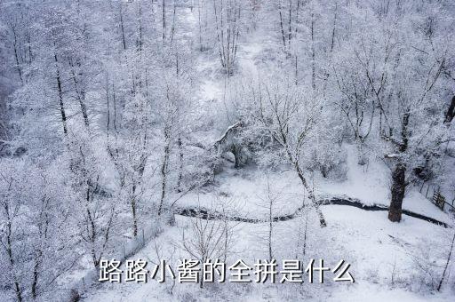 路路小醬的全拼是什么