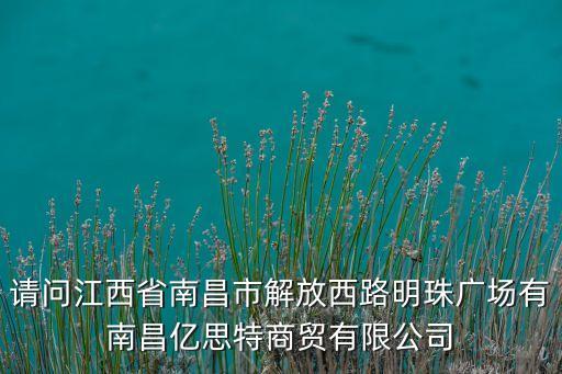 南昌天一智能裝備有限公司，請問江西省南昌市解放西路明珠廣場有南昌億思特商貿(mào)有限公司