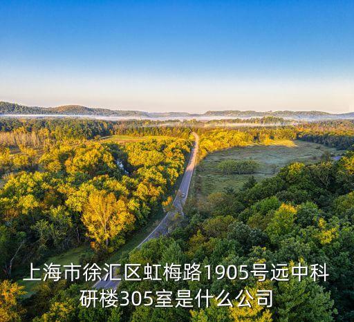 上海市徐匯區(qū)虹梅路1905號遠中科研樓305室是什么公司