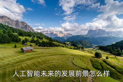 人工智能未來的發(fā)展前景怎么樣