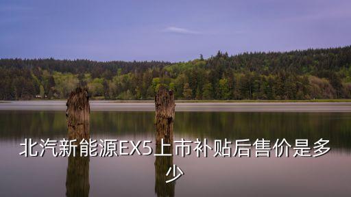 北汽極狐電動(dòng)汽車價(jià)格，北汽電動(dòng)汽車多少錢