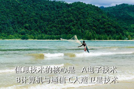 信息技術(shù)的核心是   A電子技術(shù) B計(jì)算機(jī)與通信 C人造衛(wèi)星技術(shù)