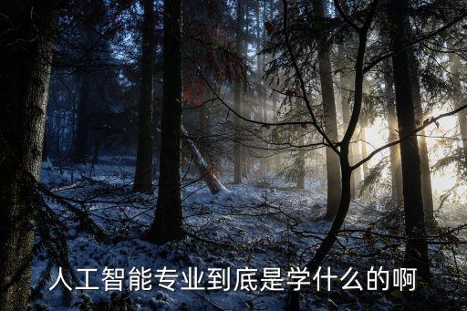 人工智能專業(yè)到底是學(xué)什么的啊