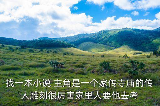大美時代，找一本小說 主角是一個家傳寺廟的傳人雕刻很厲害家里人要他去考