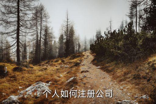 個人如何注冊公司