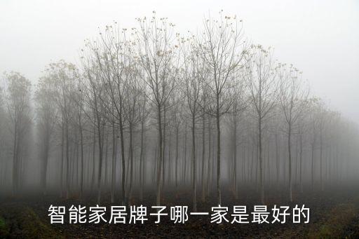 智能家居牌子哪一家是最好的