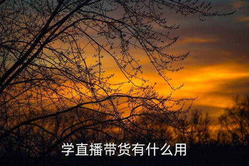 學(xué)直播帶貨有什么用