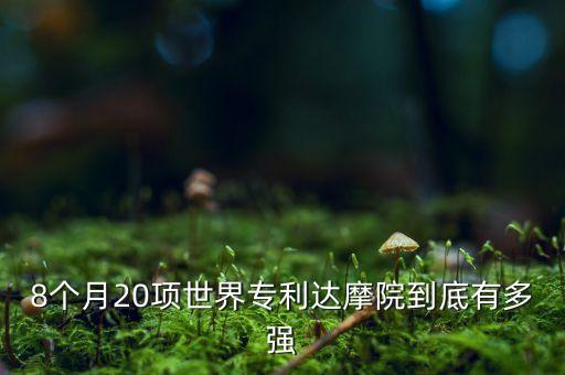 8個月20項世界專利達(dá)摩院到底有多強(qiáng)