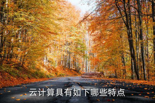 云計算具有如下哪些特點(diǎn)