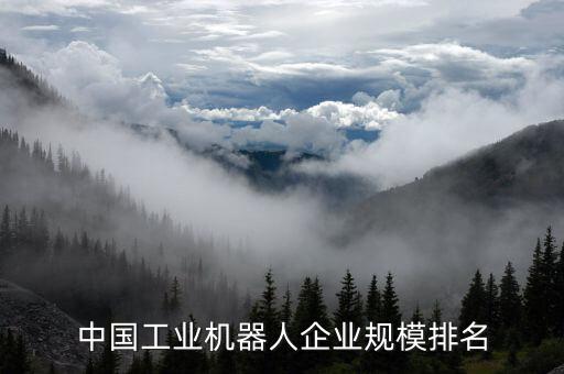 中國(guó)工業(yè)機(jī)器人企業(yè)規(guī)模排名