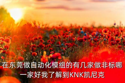 在東莞做自動(dòng)化模組的有幾家做非標(biāo)哪一家好我了解到KNK凱尼克