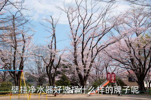 壁掛凈水器哪個牌子好，壁掛凈水器大家買過沒說說什么品牌的更好用