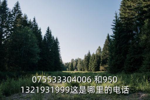 075533304006 和9501321931999這是哪里的電話