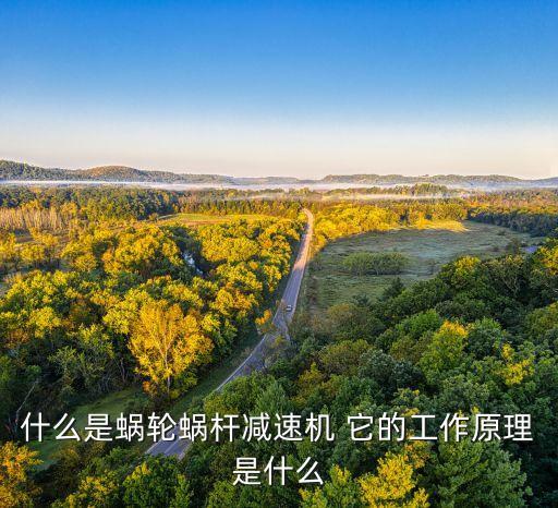 什么是蝸輪蝸桿減速機(jī) 它的工作原理是什么