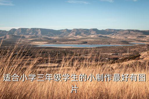 適合小學(xué)三年級學(xué)生的小制作最好有圖片
