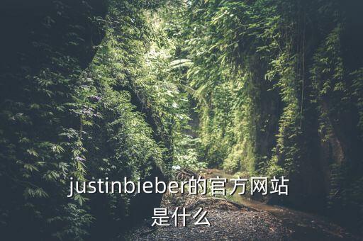 史蒂夫官網，justinbieber的官方網站是什么