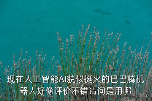 現(xiàn)在人工智能AI貌似挺火的巴巴騰機(jī)器人好像評(píng)價(jià)不錯(cuò)請(qǐng)問(wèn)是用哪
