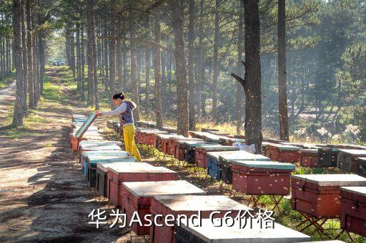 華為Ascend G6價格