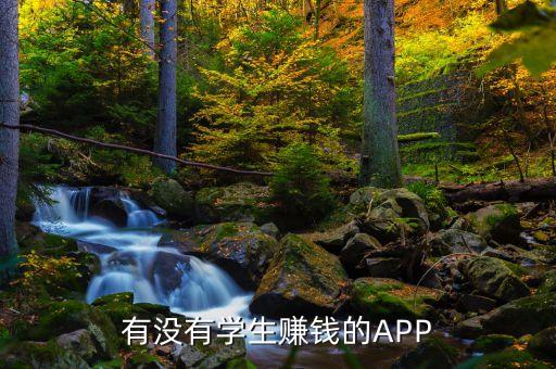 有沒有學(xué)生賺錢的APP