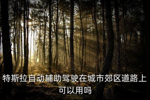特斯拉輔助駕駛安全嗎，特斯拉自動輔助駕駛在城市郊區(qū)道路上可以用嗎