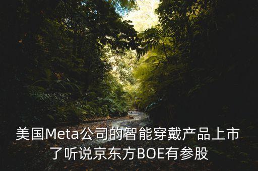 美國(guó)Meta公司的智能穿戴產(chǎn)品上市了聽說(shuō)京東方BOE有參股