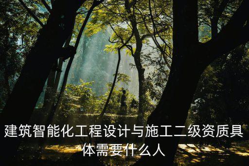 建筑智能化工程設(shè)計與施工二級資質(zhì)具體需要什么人