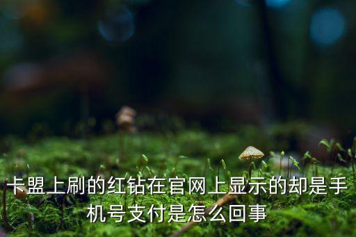 卡盟上刷的紅鉆在官網(wǎng)上顯示的卻是手機號支付是怎么回事