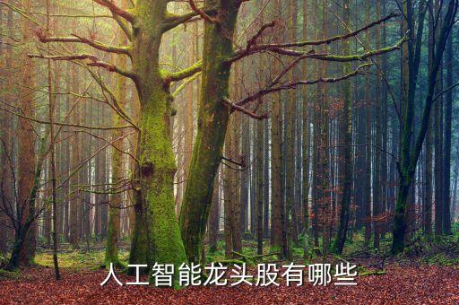 人工智能股票龍頭排名榜前十名，人工智能方面的股票名字有哪些