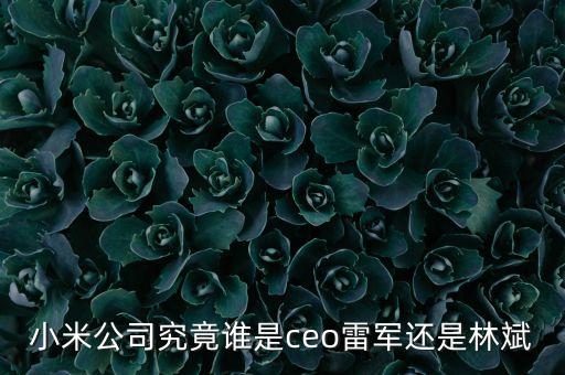 小米高管團(tuán)隊(duì)列表，小米手機(jī)研發(fā)團(tuán)隊(duì)都有誰(shuí)