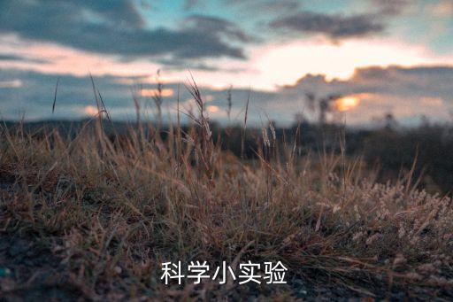 科學(xué)小實(shí)驗(yàn)