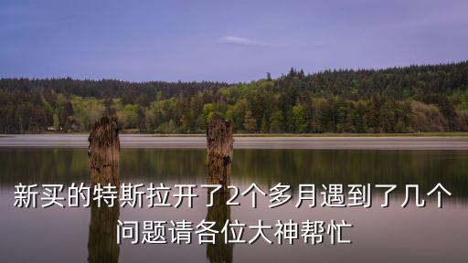 新買(mǎi)的特斯拉開(kāi)了2個(gè)多月遇到了幾個(gè)問(wèn)題請(qǐng)各位大神幫忙