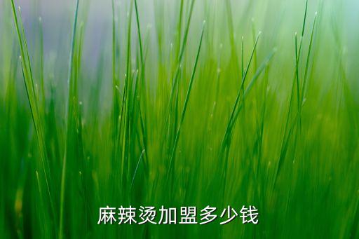 麻辣燙加盟多少錢