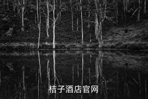 桔子酒店智能化系統(tǒng)，桔子酒店加盟
