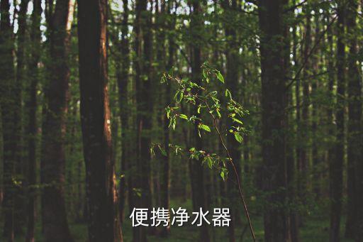 便攜凈水器