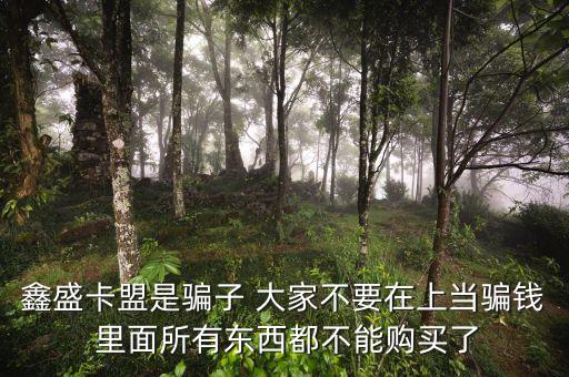 鑫盛卡盟是騙子 大家不要在上當(dāng)騙錢 里面所有東西都不能購買了