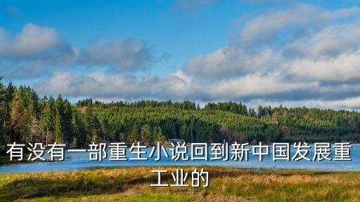 有沒(méi)有一部重生小說(shuō)回到新中國(guó)發(fā)展重工業(yè)的
