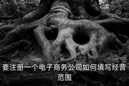 要注冊一個電子商務公司如何填寫經(jīng)營范圍