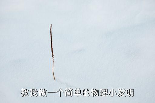教我做一個簡單的物理小發(fā)明