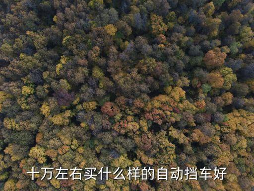 十萬左右買什么樣的自動擋車好