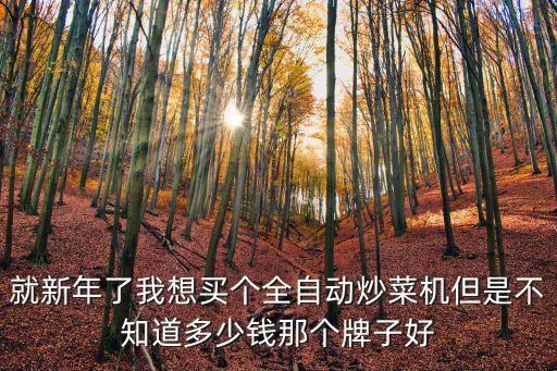 就新年了我想買個全自動炒菜機但是不知道多少錢那個牌子好