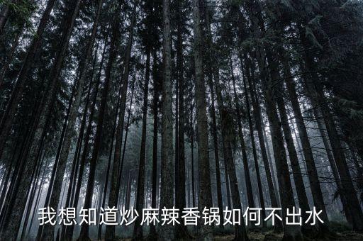 我想知道炒麻辣香鍋如何不出水