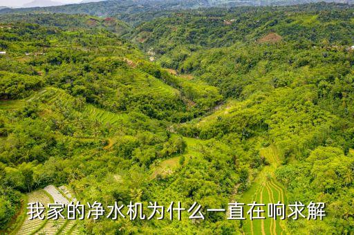 我家的凈水機為什么一直在響求解