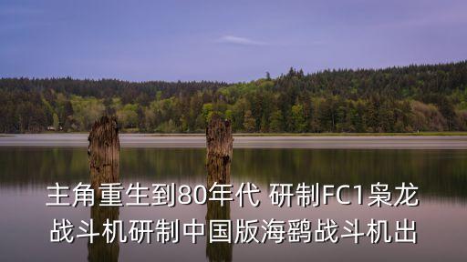 主角重生到80年代 研制FC1梟龍戰(zhàn)斗機研制中國版海鷂戰(zhàn)斗機出