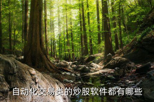 自動炒股軟件叫什么，自動買賣股票用什么軟件好