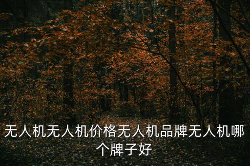 無人機(jī)無人機(jī)價(jià)格無人機(jī)品牌無人機(jī)哪個(gè)牌子好