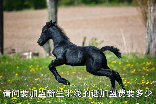 蕪湖小高米線加盟費是多少，請問要加盟新生米線的話加盟費要多少