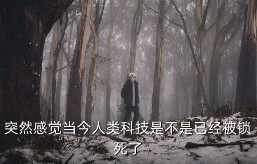 是誰強(qiáng)行鎖死了人類科技，突然感覺當(dāng)今人類科技是不是已經(jīng)被鎖死了