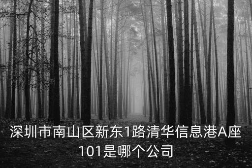深圳市南山區(qū)新東1路清華信息港A座101是哪個公司