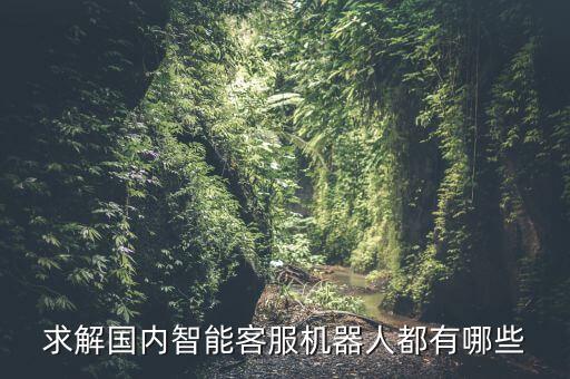 求解國內(nèi)智能客服機器人都有哪些